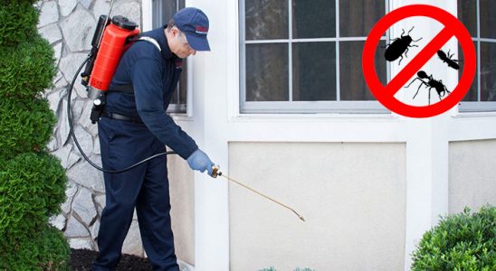 Balya Gümüşkurt İlaçlama böcek ilaçlama ve haşere kontrolü — ilaclama-tr.com